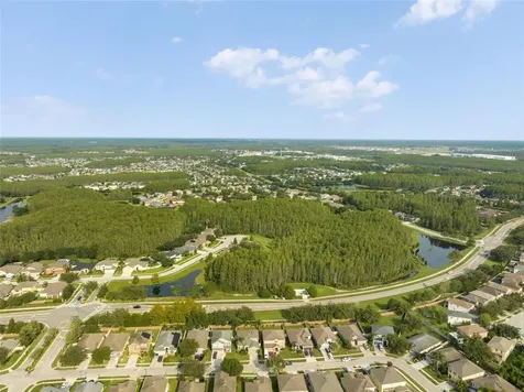3602 Olde Lanark Drive Land O Lakes FL 34638
