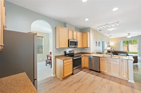 3602 Olde Lanark Drive Land O Lakes FL 34638