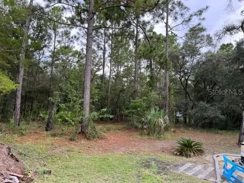 6494 W Liberty Lane Homosassa FL 34448
