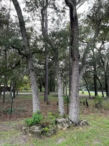 6494 W Liberty Lane Homosassa FL 34448