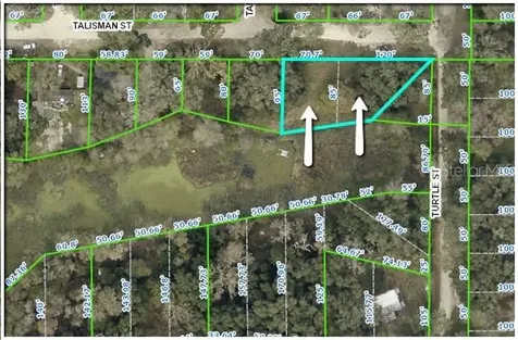 34986 Talisman Street Dade City FL 33523