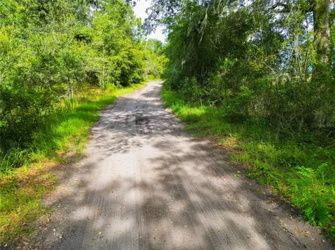 SE 29th Boulevard Sumterville FL 33585