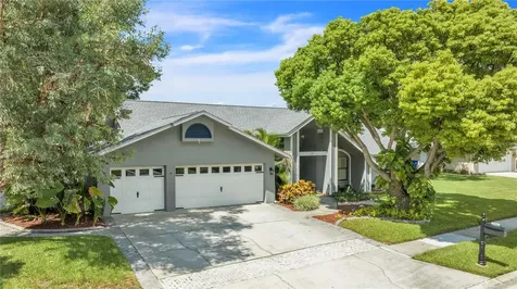 1545 Virginia Avenue Palm Harbor FL 34683