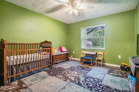 16403 Fringe Tree Drive Spring Hill FL 34610