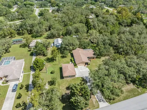 16403 Fringe Tree Drive Spring Hill FL 34610