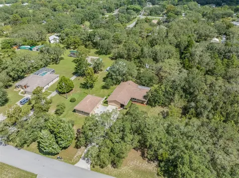 16403 Fringe Tree Drive Spring Hill FL 34610