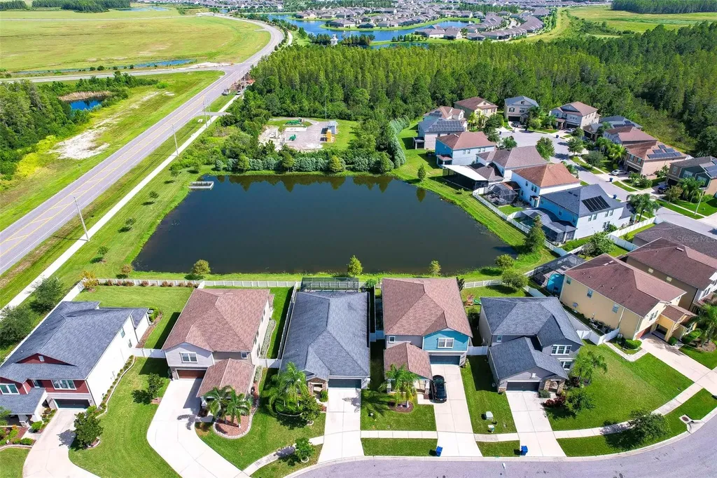 4383 Mount Bandon Drive Land O Lakes FL 34638