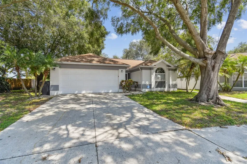 11224 Bramblebrush Street Tampa FL 33624