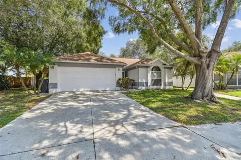 11224 Bramblebrush Street Tampa FL 33624