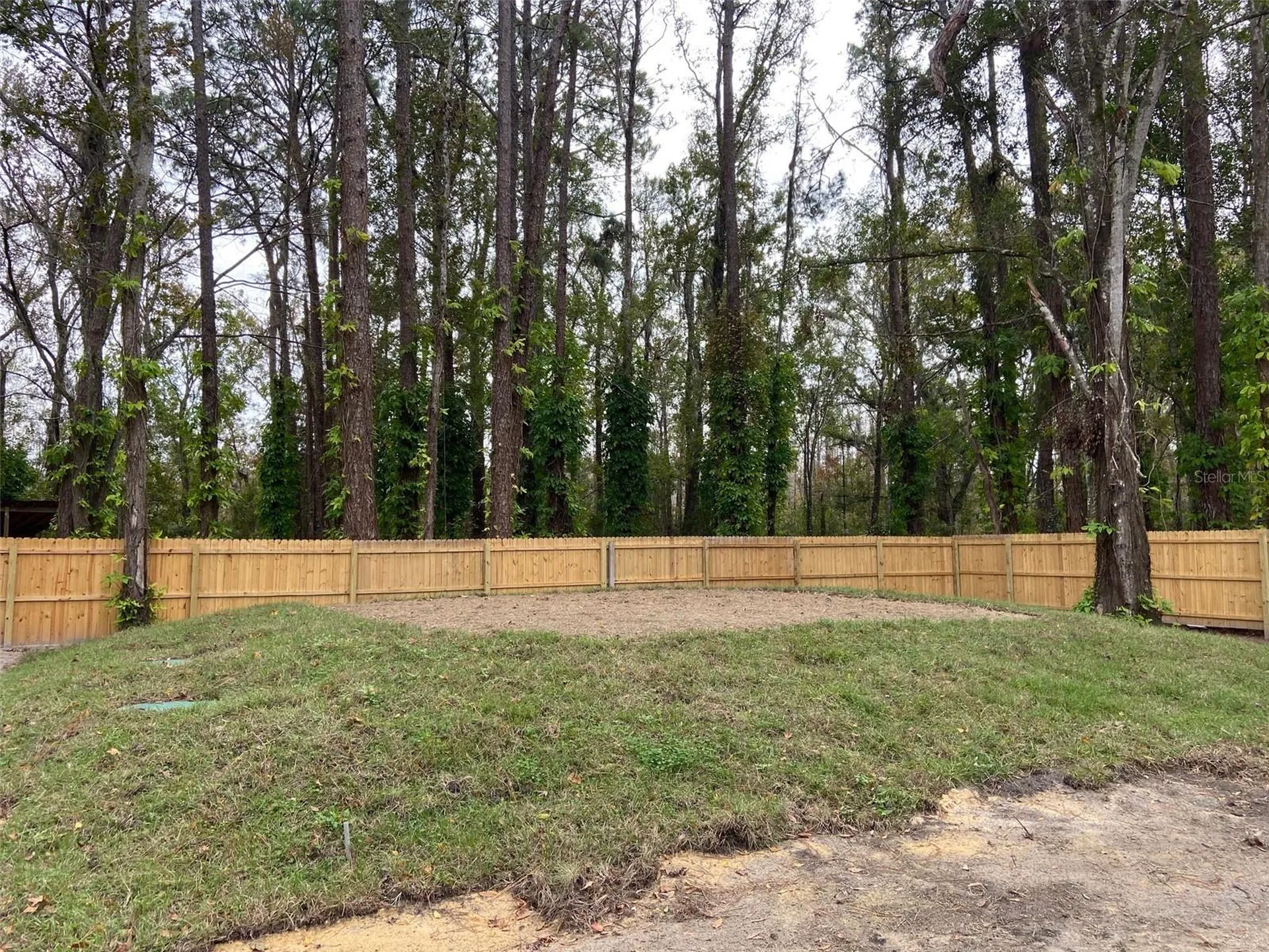11876 Keylime Drive New Port Richey FL 34654