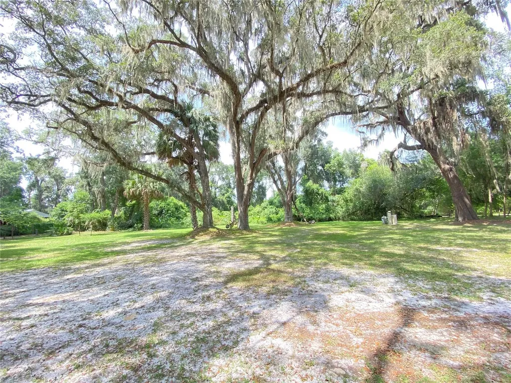 989 NE 184th Place Citra FL 32113