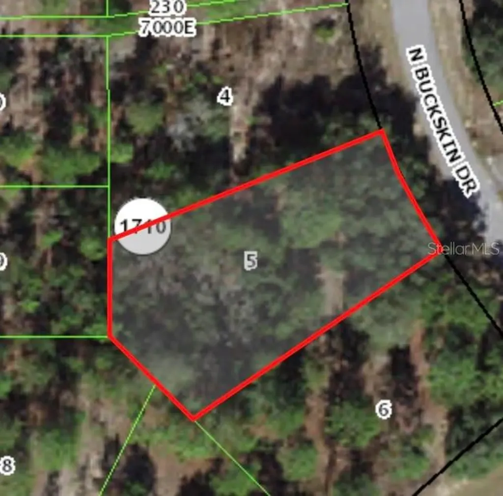 6664 N Buckskin Drive Citrus Springs FL 34434