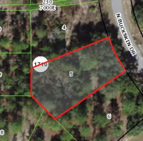 6664 N Buckskin Drive Citrus Springs FL 34434