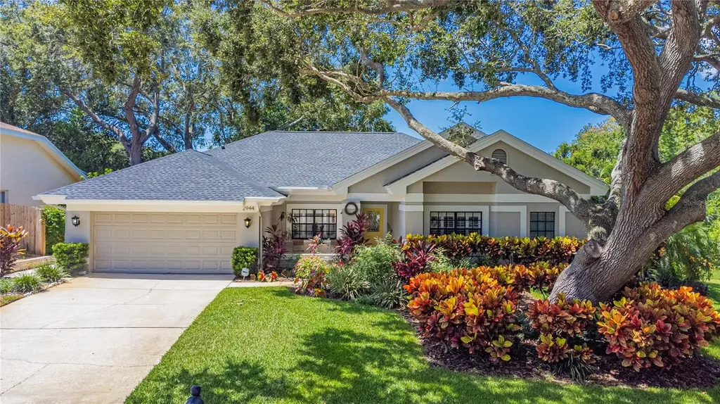 2944 Spring Oak Court Palm Harbor FL 34684