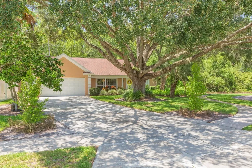 9701 Cypress Pond Avenue Tampa FL 33647