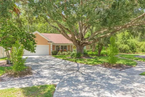 9701 Cypress Pond Avenue Tampa FL 33647