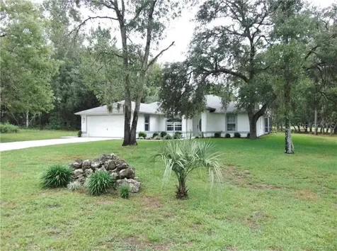 10133 N Sherman Drive Citrus Springs FL 34434