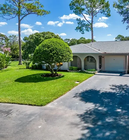 1340 Palmer Lane Palm Harbor FL 34685