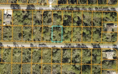 Cantor Avenue North Port FL 34291