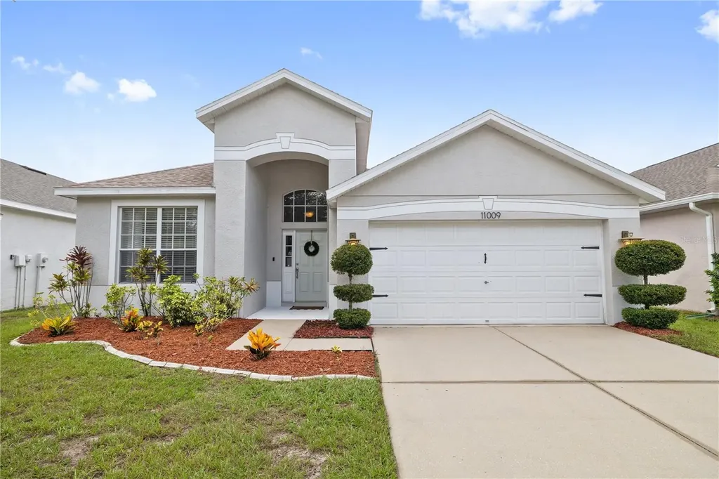 11009 Silver Dancer Drive Riverview FL 33579