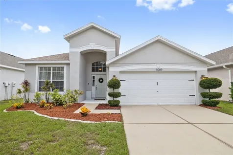 11009 Silver Dancer Drive Riverview FL 33579