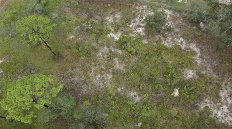 2430 S Coleman Avenue Homosassa FL 34448