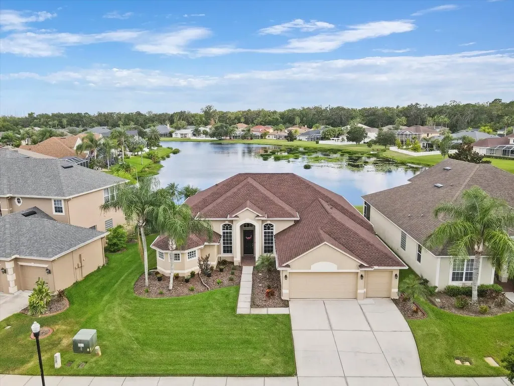 26730 Shoregrass Drive Wesley Chapel FL 33544