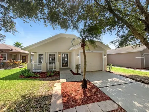 5229 Mango Fruit Street Seffner FL 33584