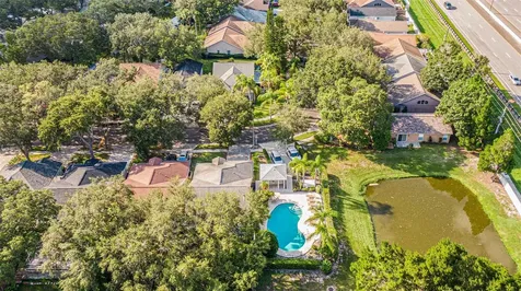 3654 Amelia Way Palm Harbor FL 34684