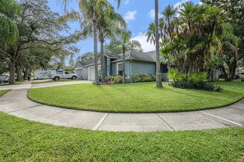 3654 Amelia Way Palm Harbor FL 34684