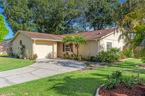 14113 Arbor Hills Road Tampa FL 33625
