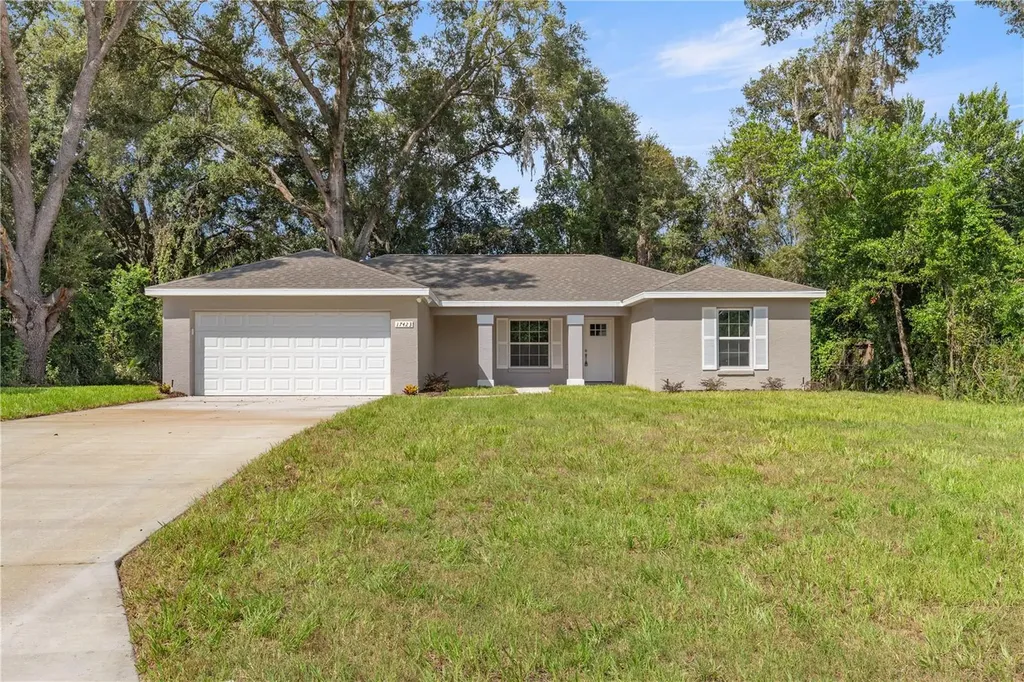 17423 SE 35th Lane Ocklawaha FL 32179