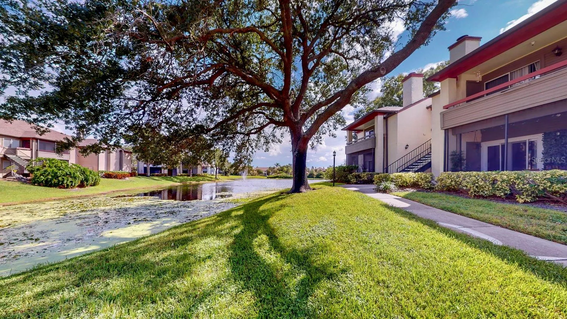 10265 Gandy Boulevard N St Petersburg FL 33702