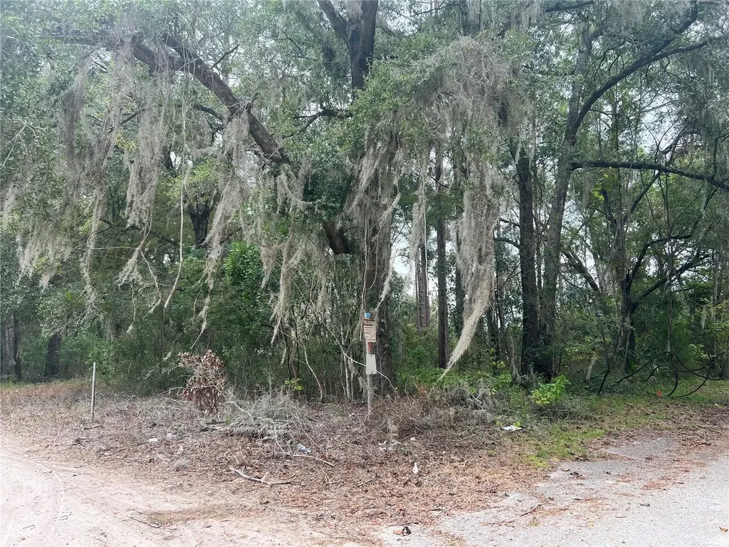 00 NW 187th Road High Springs FL 32643