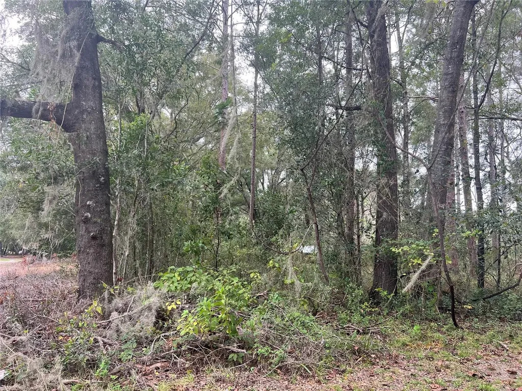 00 NW 187th Road High Springs FL 32643