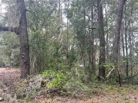 00 NW 187th Road High Springs FL 32643