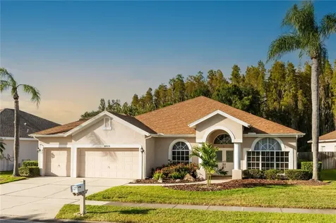 28637 Falling Leaves Way Wesley Chapel FL 33543