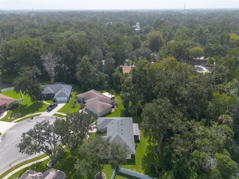 3654 Gold Nugget Court Port Orange FL 32129