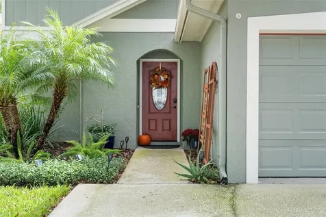 5119 Corvette Drive Tampa FL 33624