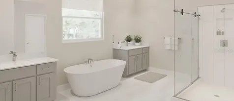 22072 Nebula Way Land O Lakes FL 34637