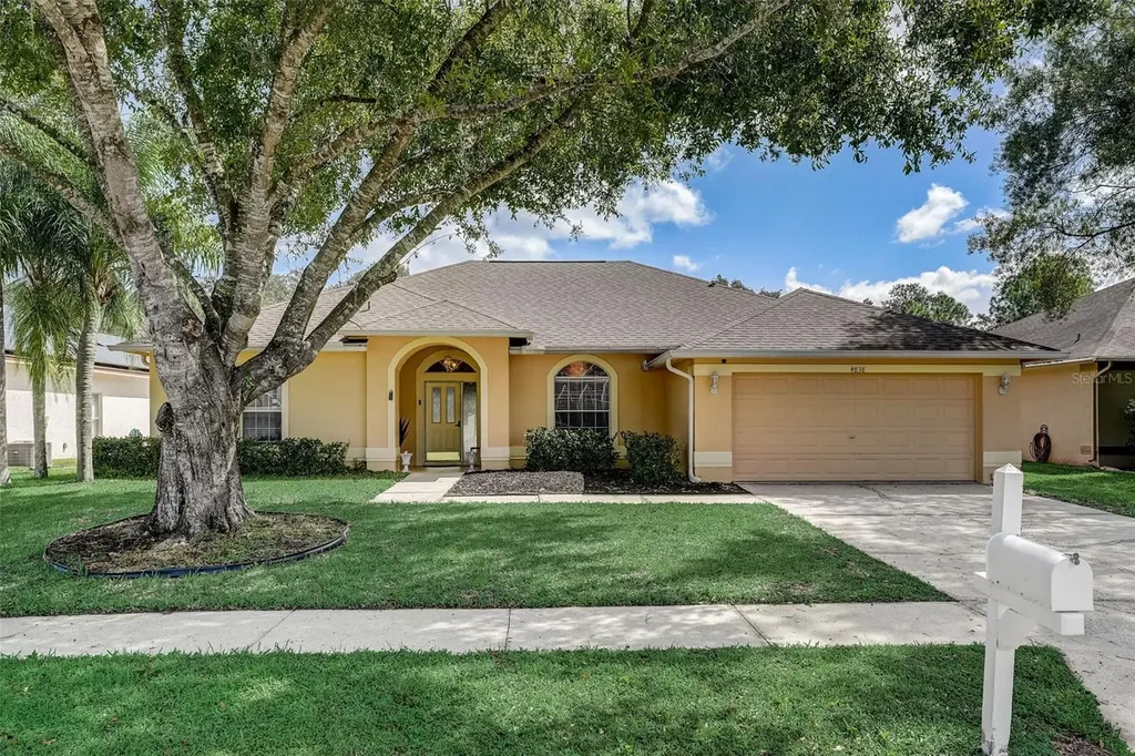 4838 Basswood Street Land O Lakes FL 34639