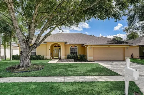 4838 Basswood Street Land O Lakes FL 34639