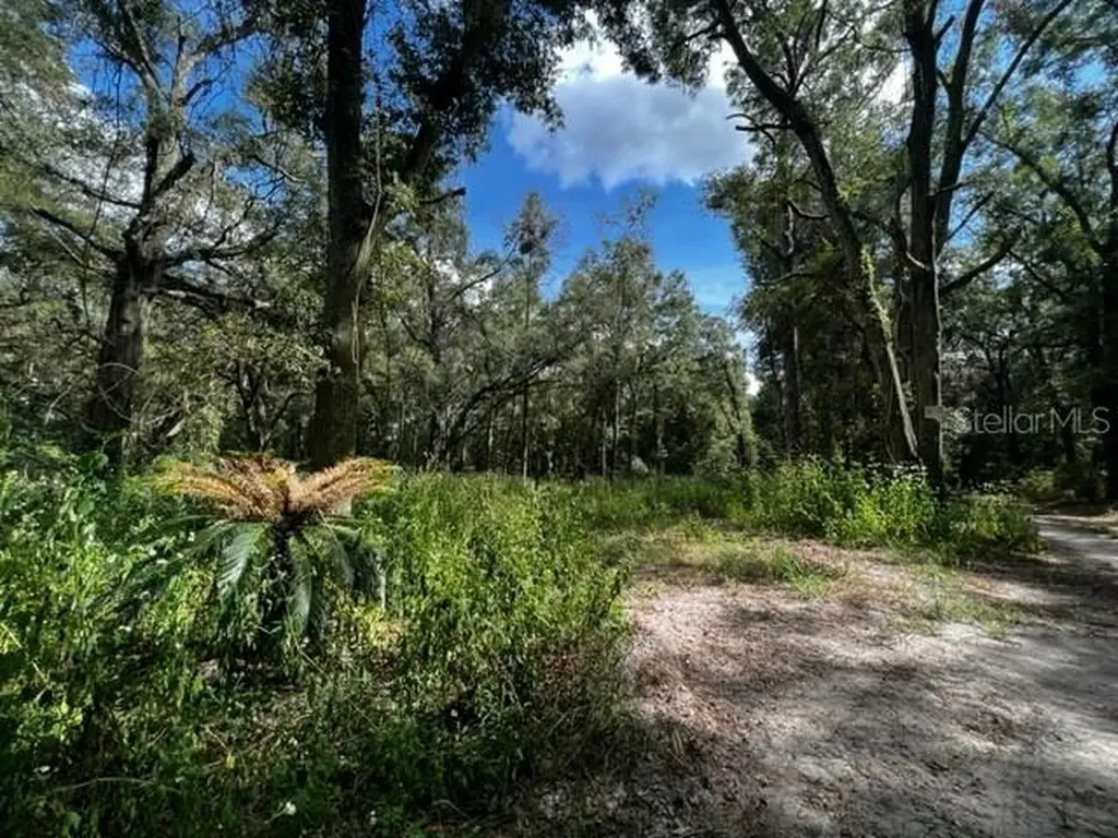 590 NW 20th Avenue Bell FL 32619
