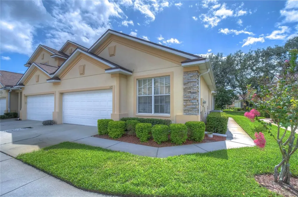 1123 Georgia Trace Avenue Valrico FL 33596