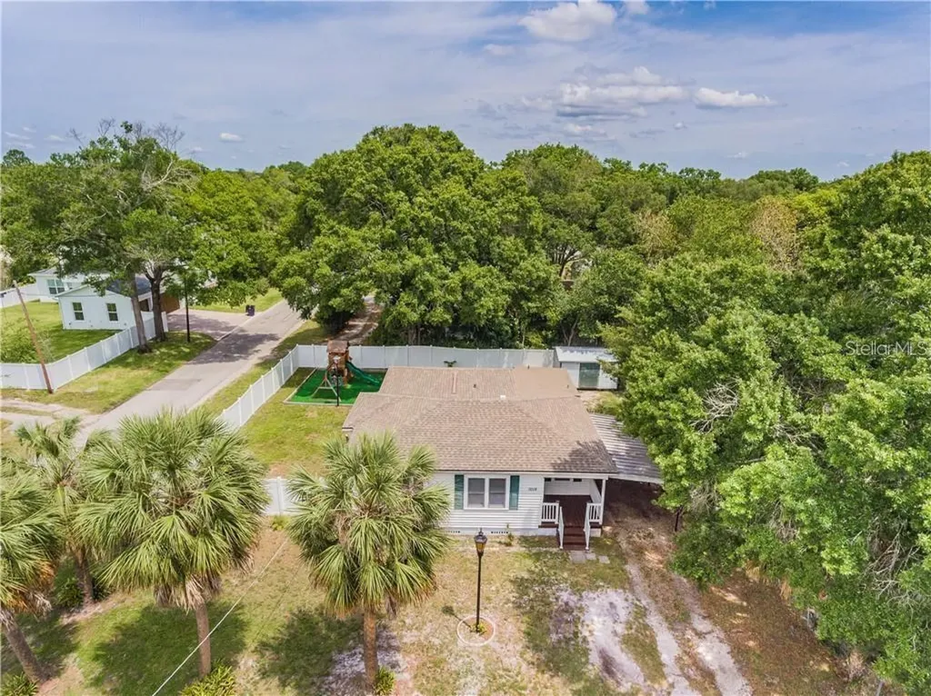 1015 W Fribley Street Tampa FL 33603