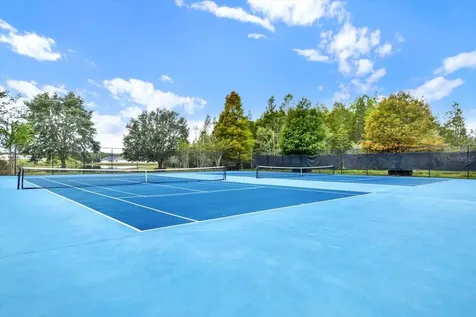 18515 Snowdonia Drive Land O Lakes FL 34638