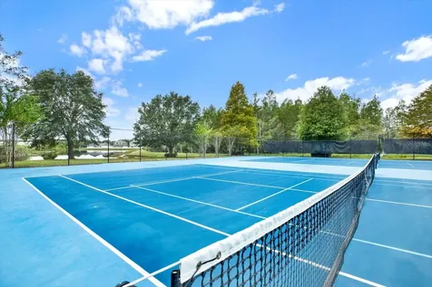 18515 Snowdonia Drive Land O Lakes FL 34638