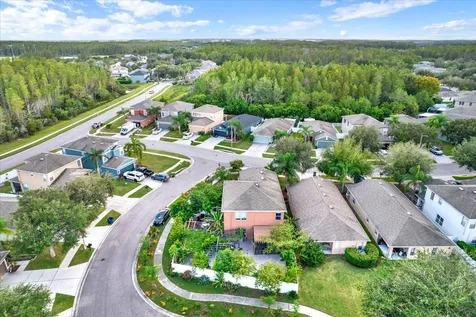 18515 Snowdonia Drive Land O Lakes FL 34638