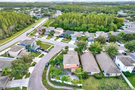 18515 Snowdonia Drive Land O Lakes FL 34638