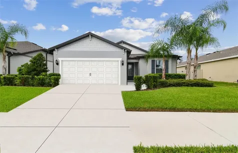 12041 Orchid Ash Street Riverview FL 33579